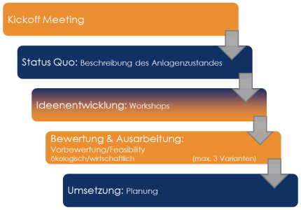 Beispiel eines Projektverlaufs im Rahmen einer Studie