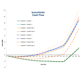 Wirtschaftlichkeitsvergleich (Cash Flow) verschiedener Umsetzungsvarianten